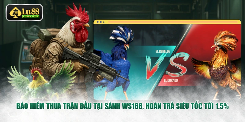 Bảo hiểm thua trận đầu tại sảnh WS168, hoàn trả siêu tốc tới 1.5%