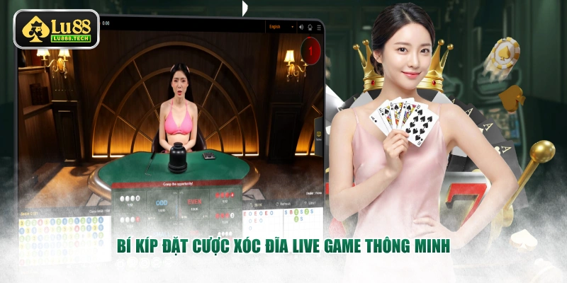 Bí kíp đặt cược Xóc Đĩa Live Game thông minh