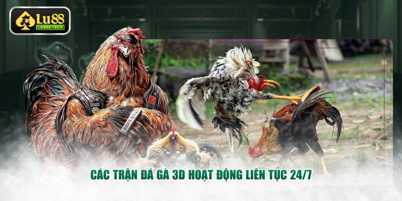 Các trận đá gà 3D hoạt động liên tục 24/7