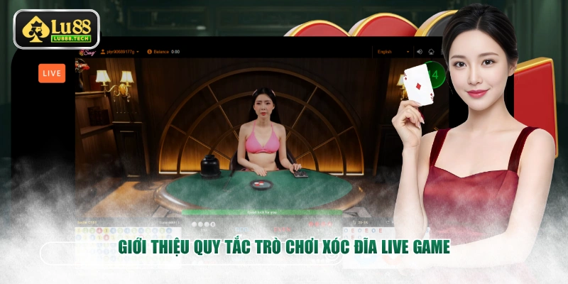 Giới thiệu quy tắc trò chơi Xóc Đĩa Live Game