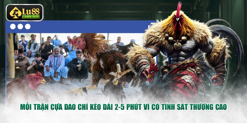 Mỗi trận cựa dao chỉ kéo dài 2-5 phút vì có tính sát thương cao