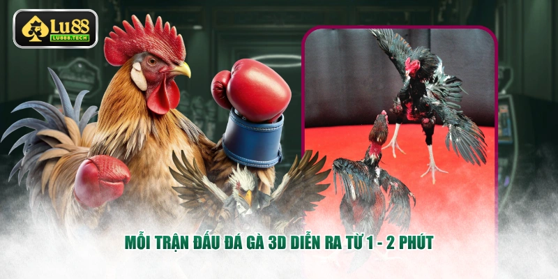 Mỗi trận đấu đá gà 3D diễn ra từ 1 - 2 phút