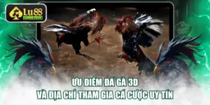 Đá gà 3D