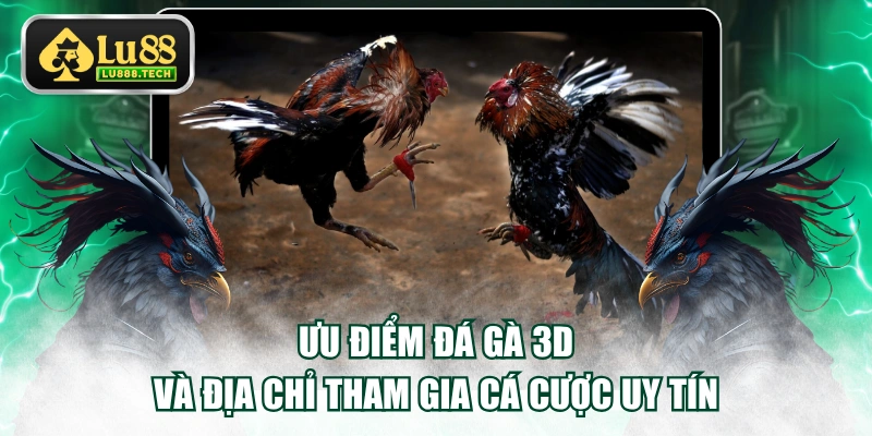 Đá gà 3D